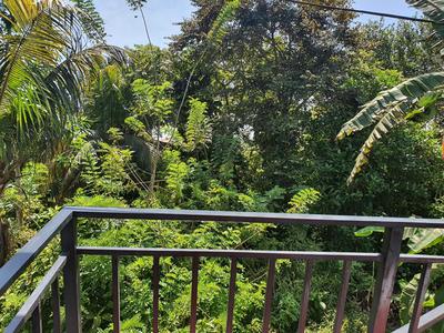 Allen Lilly Ahangama