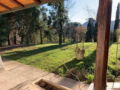 Il Bagolaro