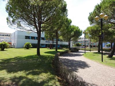 Apartments in Bibione 24639