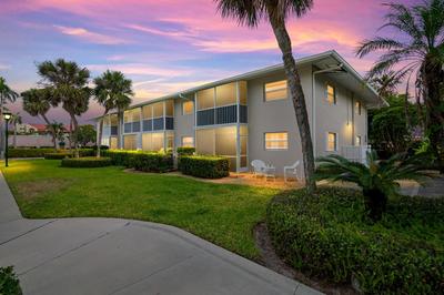 Downtown Starfish 807