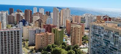PANORAMIC VIEW