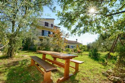 Apartments with pool Albina