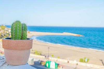 La Esperanza Beach- Zona Pubs y Restaurantes