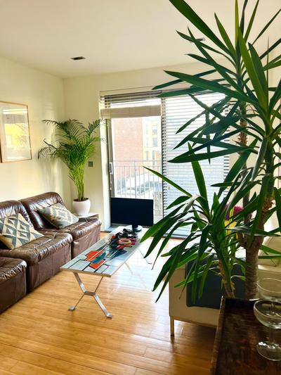 Zen life with Urban Views - E8 Chic