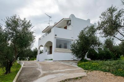 Uliveto 3bd Rustic House
