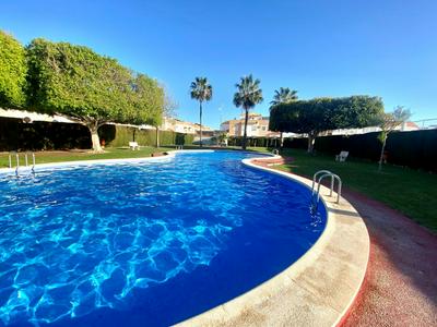 Solarium Escape with private roof terrace and pool access Torrevieja
