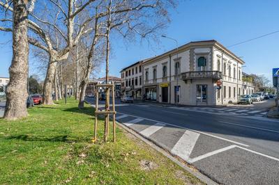GuestHost - Loft viale Trieste