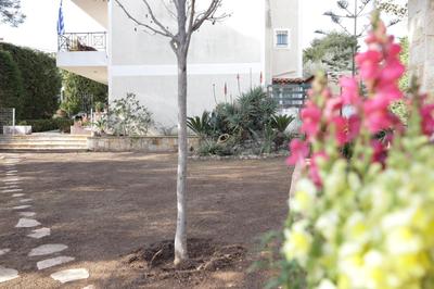 Perfect home for Relaxing