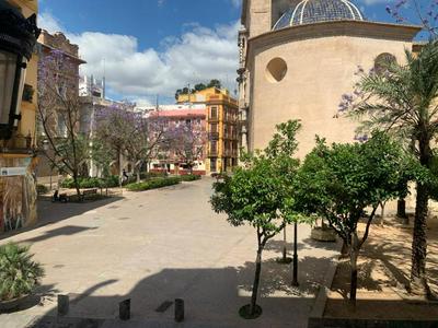Plaza del Carmen Boutique