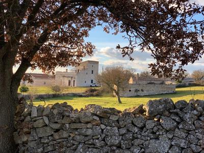 Masseria Contursi - Donna Camilla