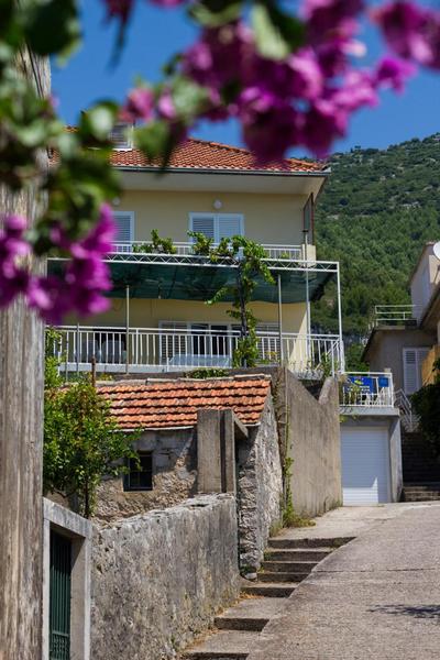 Pelješac Apartmani -Orsula