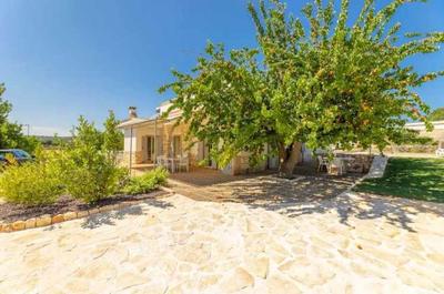 Casale dolina verde .