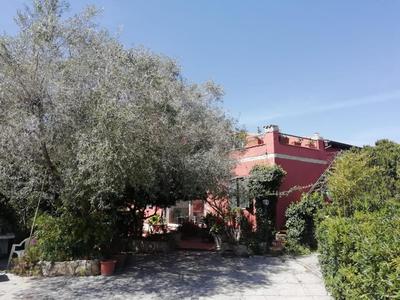 Il Vecchio Lentisco