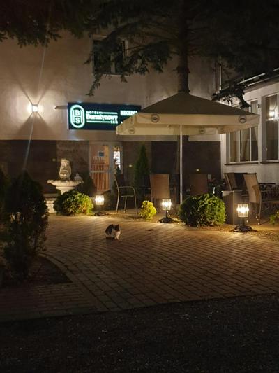 Bursztynowy Sen Stegna