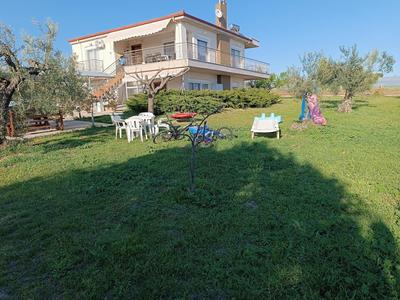 THE SECRET OLIVE HOUSE