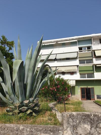 Apartment Maeîstro by Privileggio Residence