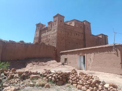 Authentique Berbère