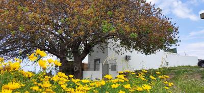 traditional suburbs maisonette