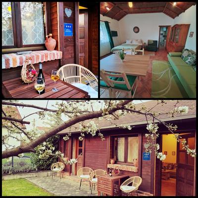 Studio apartman Buteo