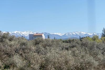 Summer Blue Apartments Chania