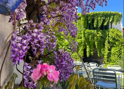 Hotel Rural las Cinco Ranas