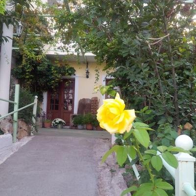 Manoleas Tavern & Rooms to Let
