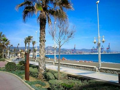 Reyna apartamentos