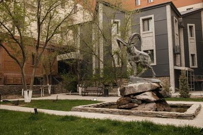 Infinity Plaza Hotel Block 1