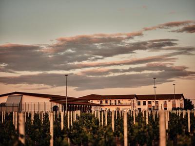 Domeniile Panciu Winery & Resort