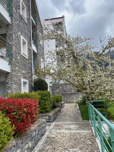 Kalavrita Luxurious Apartments