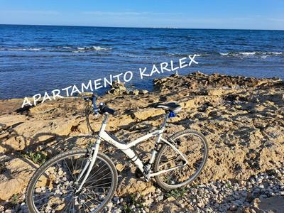 Karlex