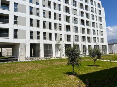 Comfy Nest Apartment- free parking