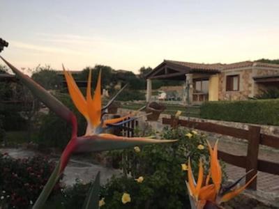 Bellissima villa Alessandra grande piscina privata giardino BQ posto auto
