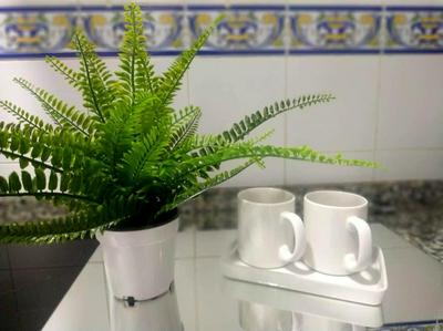 Apartamento Las Canastas Cádiz Centro a pie de Catedral y playa