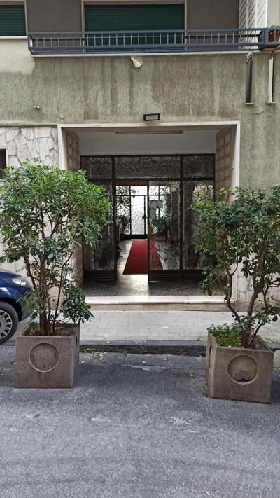 Chicco's Suite