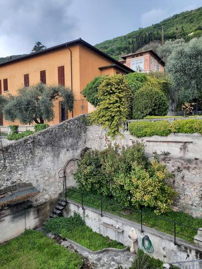 Il limone
