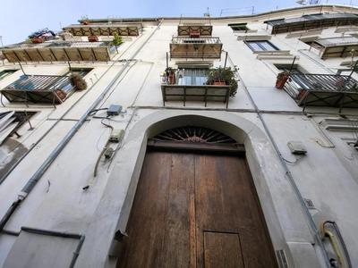 House Garden San Lorenzo