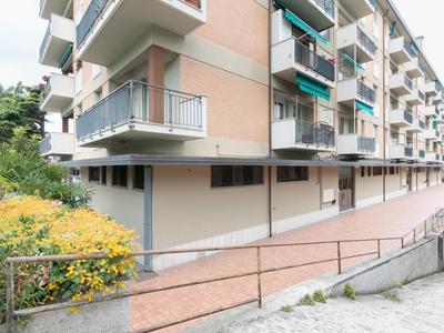 Flaminia Bright & Roomy Apartment