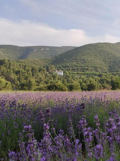 Eco Maset, alojamiento rural rodeado de naturaleza