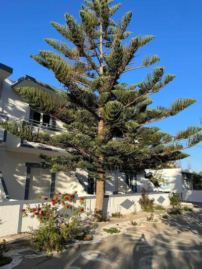 Dionisia Apartments 2