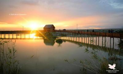 Casa caretta caretta