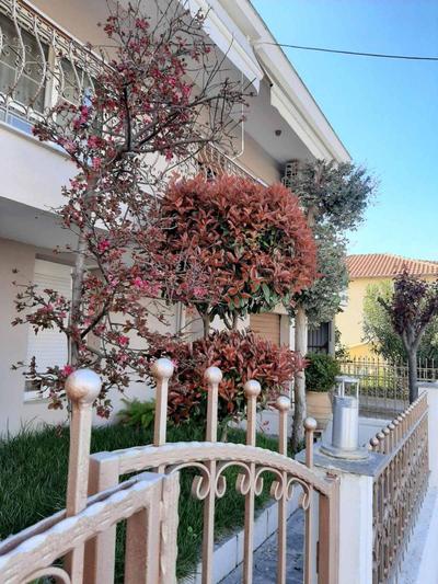 Summer Vibe Apartment