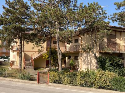 Bright apartment close to the beach