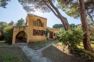 Villa i Pini 50 mt dalla spiaggia