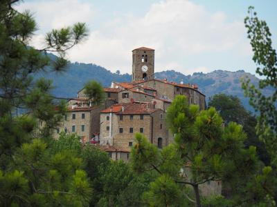 Aramo Verde