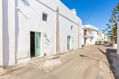 Terra Allisti by BarbarHouse