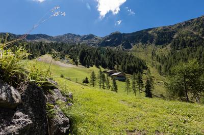 Feldererhof Apt Almenblick