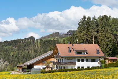 Stiflerhof Apt Edelweiss