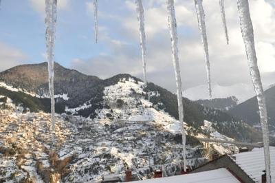 Cozy Loft with Fireplace & View