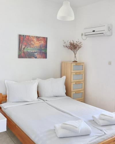 4 Ambelia paradise